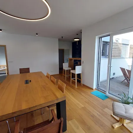 Apartman Business Comfort Se Zahradou 别墅 *