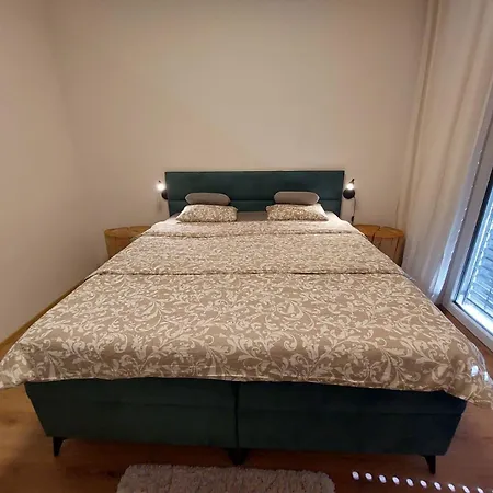 Apartman Business Comfort Se Zahradou 别墅