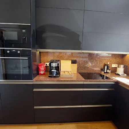 Apartman Business Comfort Se Zahradou 别墅 Hradec Králové