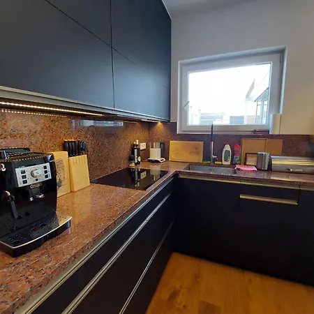 Apartman Business Comfort Se Zahradou 别墅