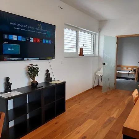 Apartman Business Comfort Se Zahradou 别墅 Hradec Králové