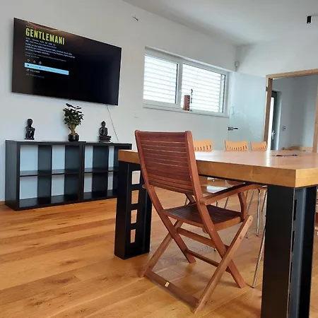 Apartman Business Comfort Se Zahradou 别墅